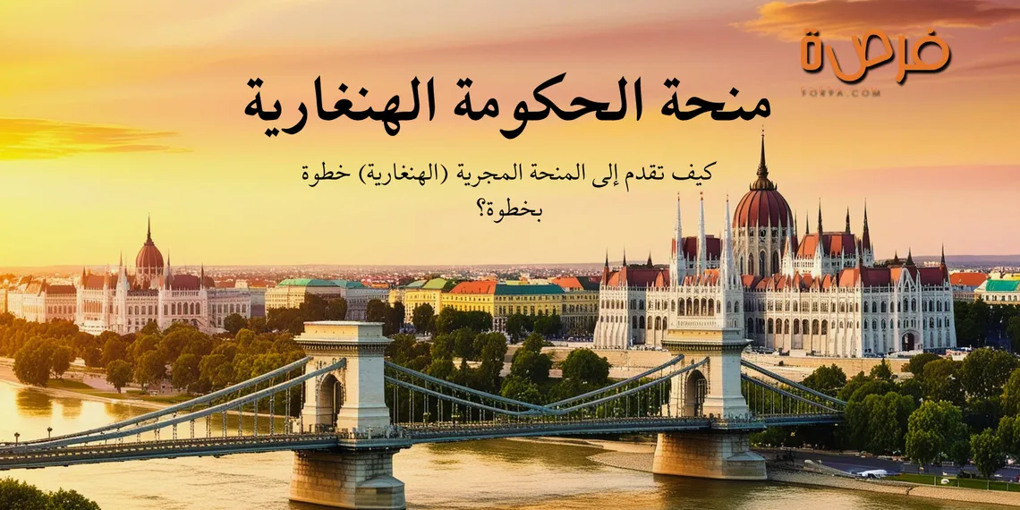 كيفية التقديم على منح الحكومة الهنغارية: الدليل الشامل خطوة بخطوة