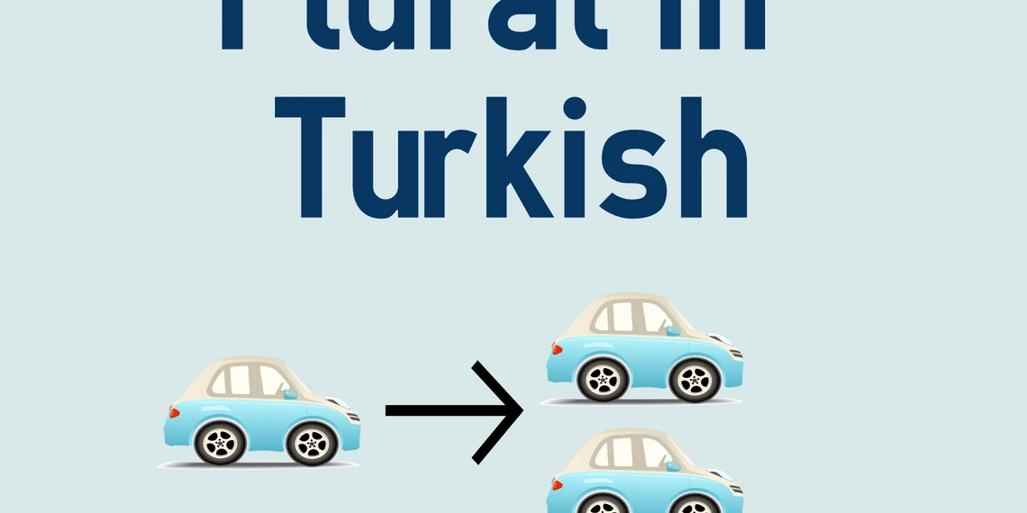 تعلم اللغة التركية | الجمع والمثنى