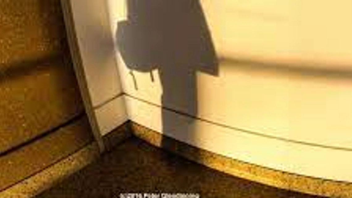 Online Course from Coursera Camera Control