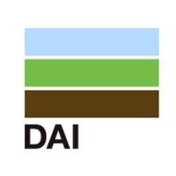 Development Alternatives Incorporated 