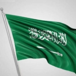 المؤتمر الوزاري للطاقة النظيفة (CEM)