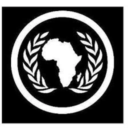 Council for the Development of Social Science Research in Africa (CODESRIA)