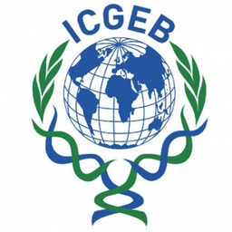 المركز الدولي للهندسة الوراثية والتكنولوجيا الحيوية (ICGEB)