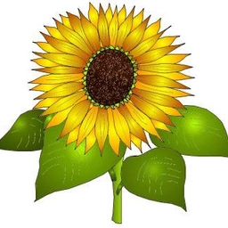 دريم كويست ون