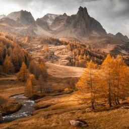 International Landscape Photographer of the Year Awards