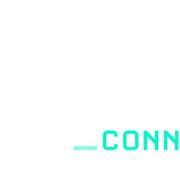 Bright Festival Connect