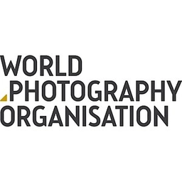 مؤسسة التصوير الفوتوغرافي الدولية