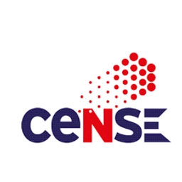 Centre for Nano Science and Engineering (CeNSE)