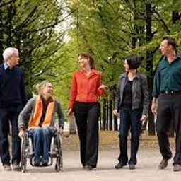 Die Stiftung