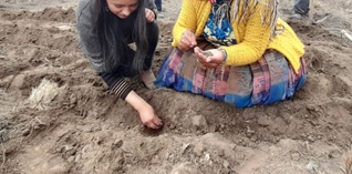 Exchange Program from Projects Abroad: Live and Work with Nomads in Mongolia