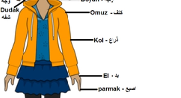 تعلم اللغة التركية | أجزاء جسم الإنسان