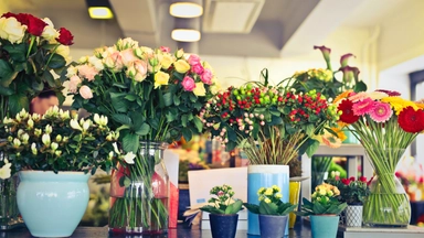 Free Online Course offered by Alison on Floral Arrangements