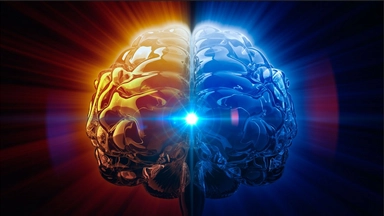 Free Online Course Offered by edX: Exploring The Conscious Mind