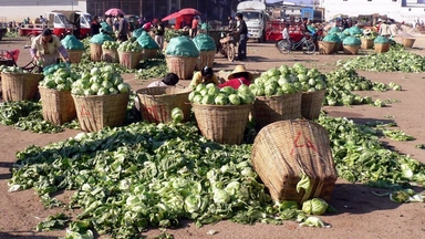 Free Online Course by Coursera: Postharvest Loss Prevention