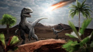 Free Online Course offered by FutureLearn on Extinctions: Past and Present