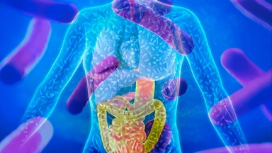 Free Online Course offered by Coursera: Exploring Your Microbiome