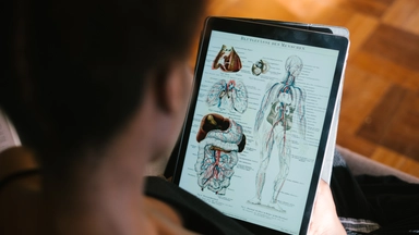 Free Online Course on Human Anatomy: Musculoskeletal Cases by edX