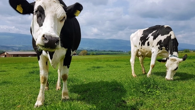 Free Online Course On Agriculture and Nutrition Offered By FutureLearn