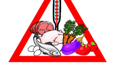 Free Online Course offered by Alison on Food Safety