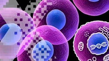 Free Online Course offered by edX: Introduction to Human Cells and Tissues