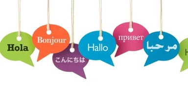 دورة عبر الإنترنت حول الترجمة وتقييم النصوص المترجمة