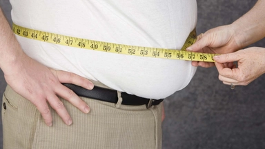 Free Online Course by Coursera on Understanding Obesity