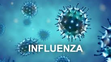 Free Online Course offered by OpenWHO: Introduction to Seasonal influenza