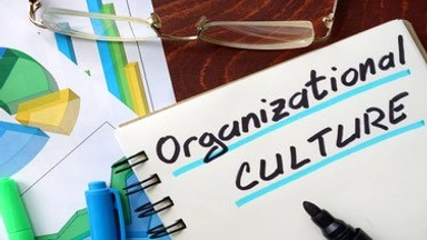 Free Online Course from Edx on Organizational Culture and Change in Healthcare