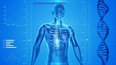 Free Online Course: Human Anatomy and Physiology