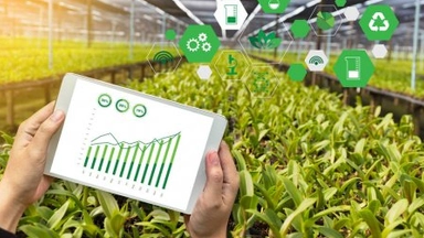 Free Online Course By EIT Food: Improving Food Production with Agricultural Technology and Plant Biotechnology