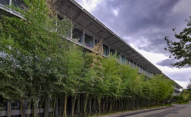 Kyoto University Fully Funded Research Fellowship Japan 2026