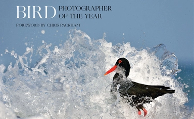 جائزة للفنانين في المملكة المتحدة 2026 بمزايا و جوائز عديدة (Lumen Prize)