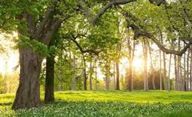 International Portrait Photography Competition 2026