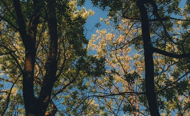 International Opportunity for Photographers to Win Cash Prizes of up to €3,000