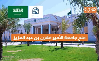 University of Prince Mugrin Full Scholarship 2025 in Saudi Arabia - Outstanding Opportunity