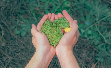 Fully-Funded BMO Fellowship by Watson Institute with Funding up to $6.000