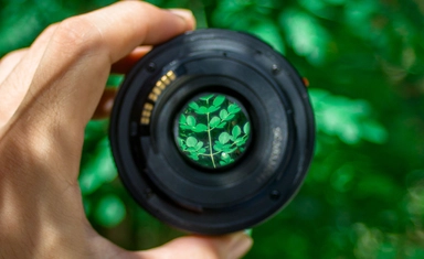 International Environmental Photography Award 2027 with a Prize of Up to EUR 5,000