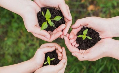 The Iris Project 2026 Award for Environmental Protection and Nature Restoration