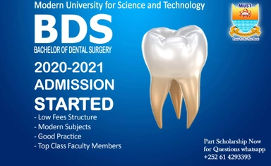 Fully Funded Master's Scholarship in Canada 2026 at University of Guelph