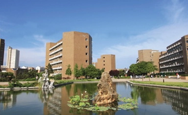 فرصة تطوعية ممولة بالكامل في الأمم المتحدة 2026