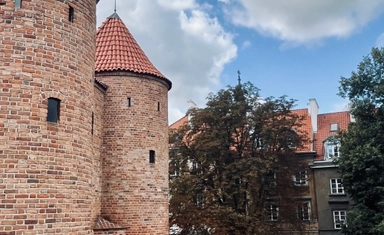 Funded International Fellowship for Business Students and Graduates in Germany and Poland 2027