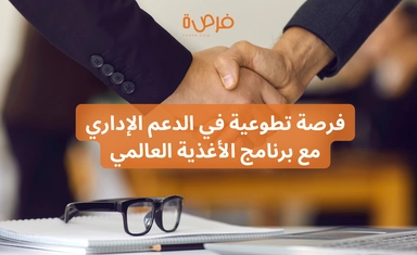 Volunteer Opportunity in Business Support with the World Food Programme – Egypt