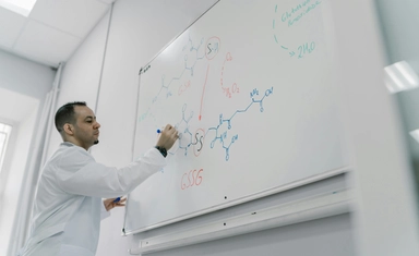 The TWAS-DFG Research Collaboration Program for African Scientists in Germany 2026