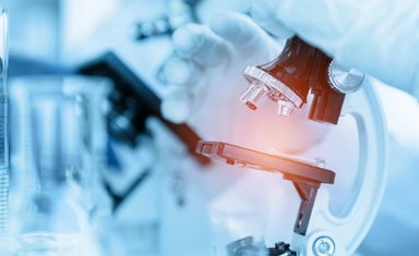 منحة زمالة بحثية ممولة بالكامل لـ AREF للباحثين الأفارقة 2026