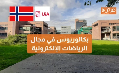 بكالوريوس في مجال الرياضات الإلكترونية – تمويل عام