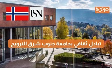 منحة جامعة جنوب شرق النرويج: فرص دراسية متميزة للطلاب الدوليين