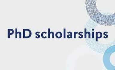 Fully Funded Postdoc AI Ethics Fellowship at Harvard 2026