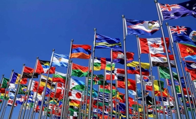 الزمالة في مجال الزراعة والغابات بتمويل كامل 2026