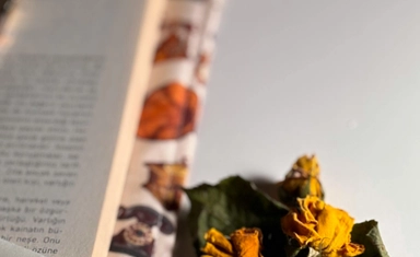 مسابقة القصة القصيرة Frome 2026