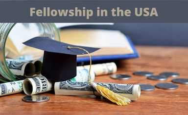 Harvard Radcliffe Fellowship 2026